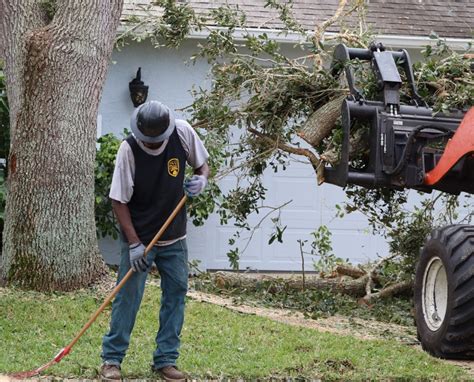 tree service daytona beach fl